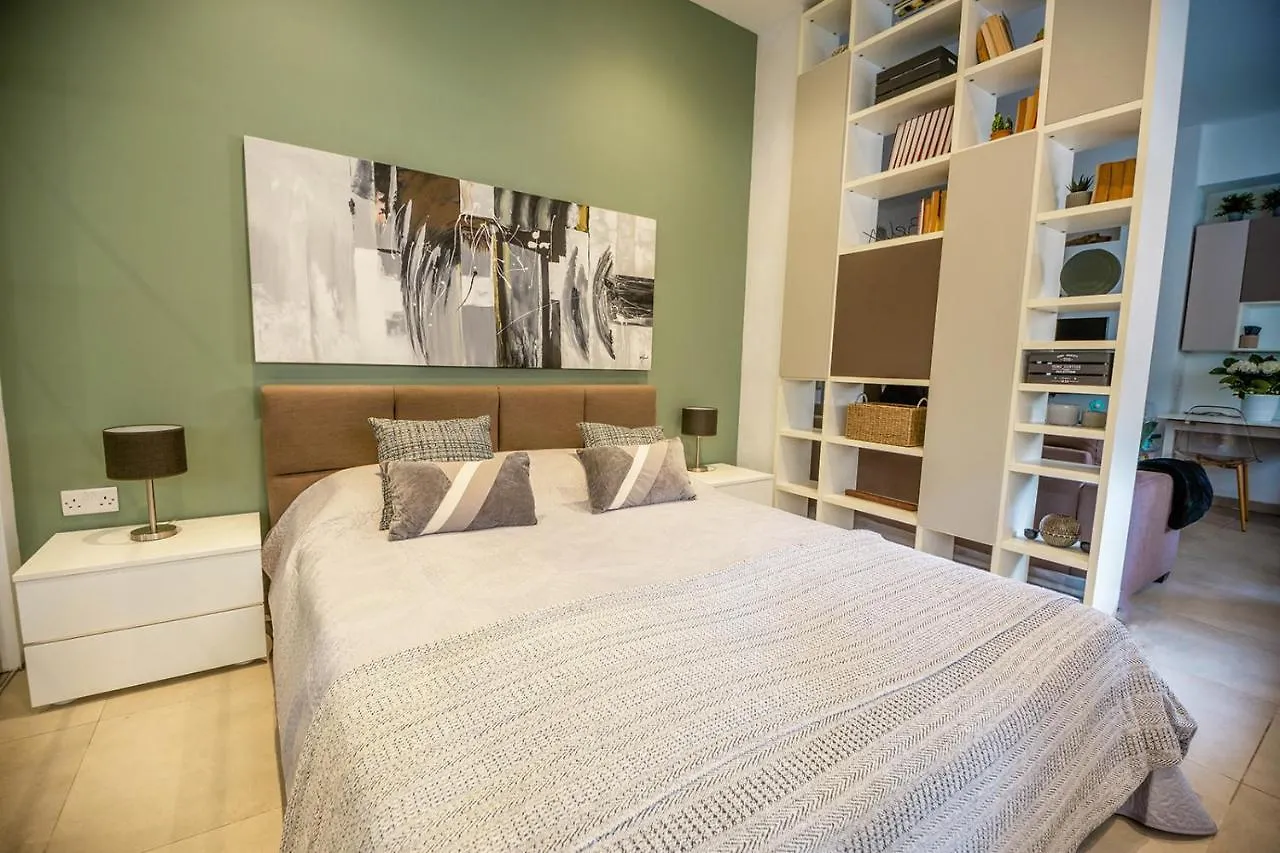 Spacious Studio Apartment スリーマ