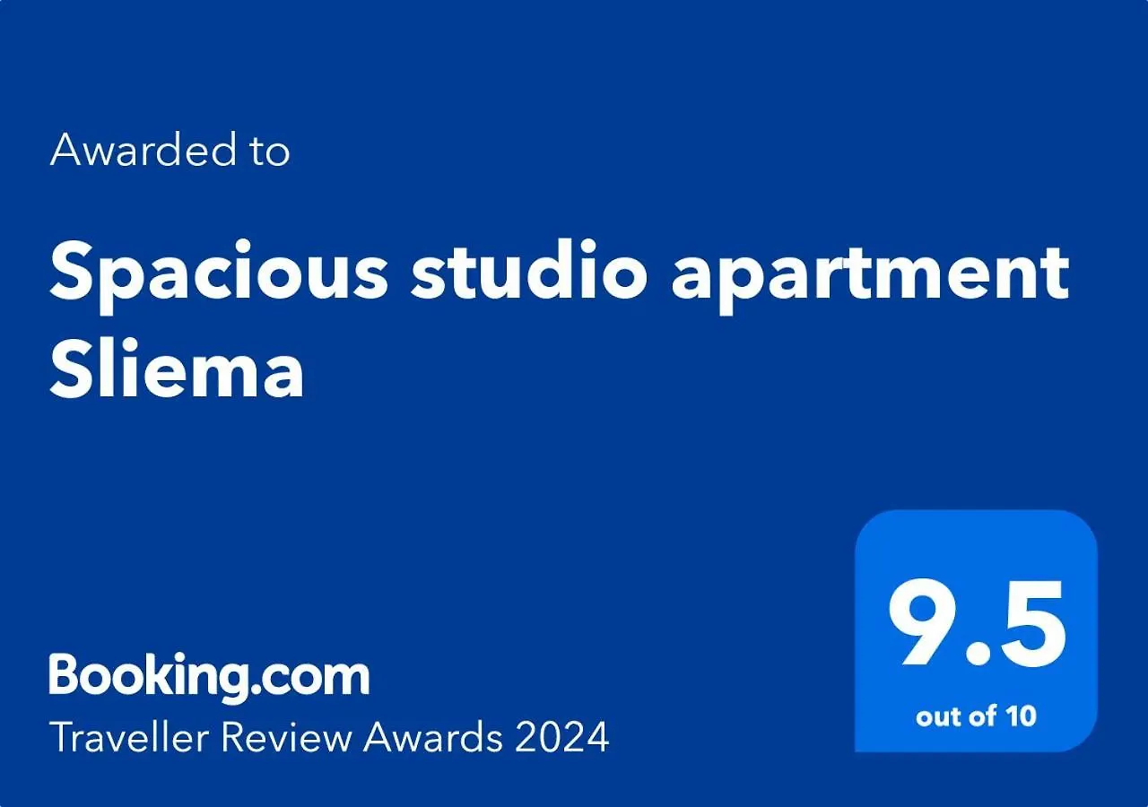 Spacious Studio Apartment Sliema